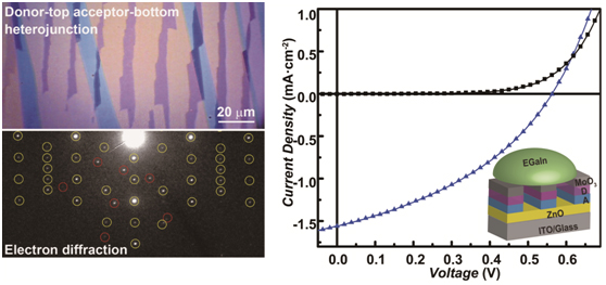 Organic Single-Crystalline Heterojunctions for PV cells