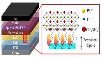 SAMs on Perovskites Solar Cells